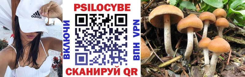 Псилоцибиновые грибы Magic Shrooms  Суворов 